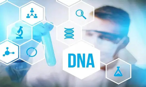 潍坊DNA亲子鉴定哪家机构比较好,潍坊亲子鉴定的流程