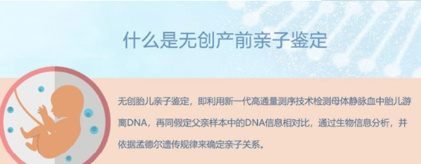 潍坊肚子里胎儿与父亲如何做DNA鉴定,潍坊孕期亲子鉴定结果到底准不准确