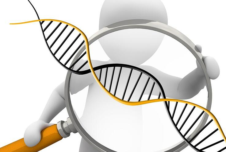 潍坊哪有正规亲子鉴定检测机构,潍坊DNA亲子鉴定多少钱