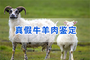 潍坊羊类动物鉴定
